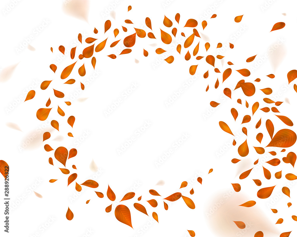 Swirling brown leafs in the wind.