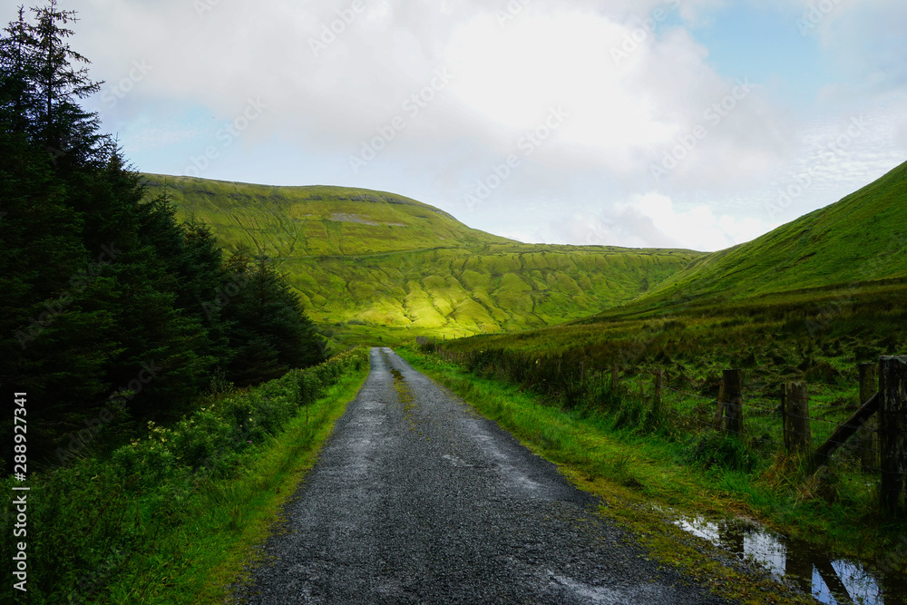 Mountain Road between pines and bench in Gleniff Horseshoe, Benbulben, Sligo, Wild Atlantic Way, Ireland