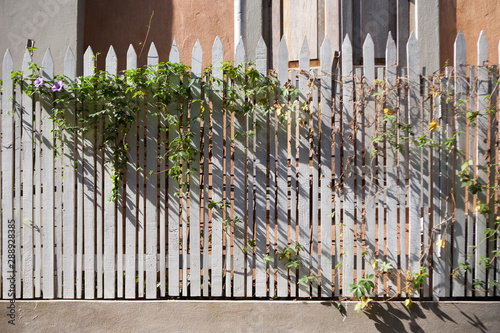 Fototapeta Naklejka Na Ścianę i Meble -  White wooden fence