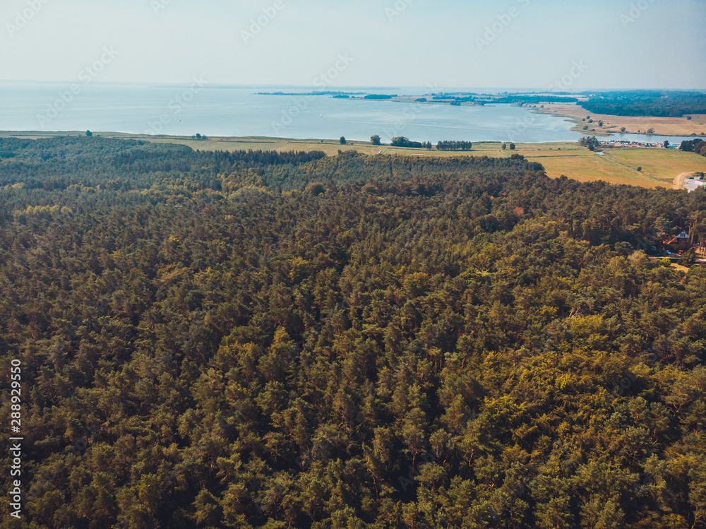 forest at baltic sea - picture taken by a drone