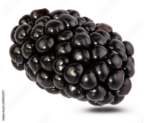 Blackberry isolated on white background with clipping path