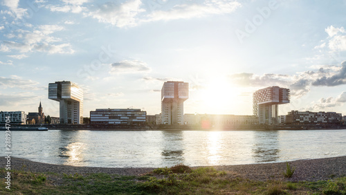 panoramic skyline view of the rhine shore in cologne with meadow in the foreground and crane houses with cathedral in the back on a sunny summer day on sunset