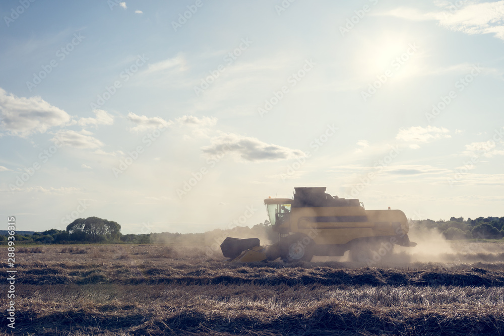 Toned image of wheat field working combine harvester .