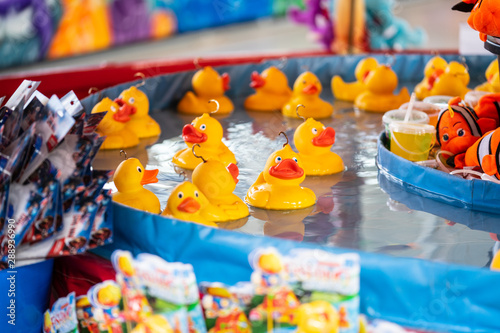 Obraz na płótnie Rubber yellow ducks with hooks in their heads