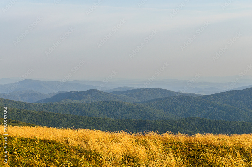 Bieszczady połonina Wetlińska Bieszczady połonina Wetlińska