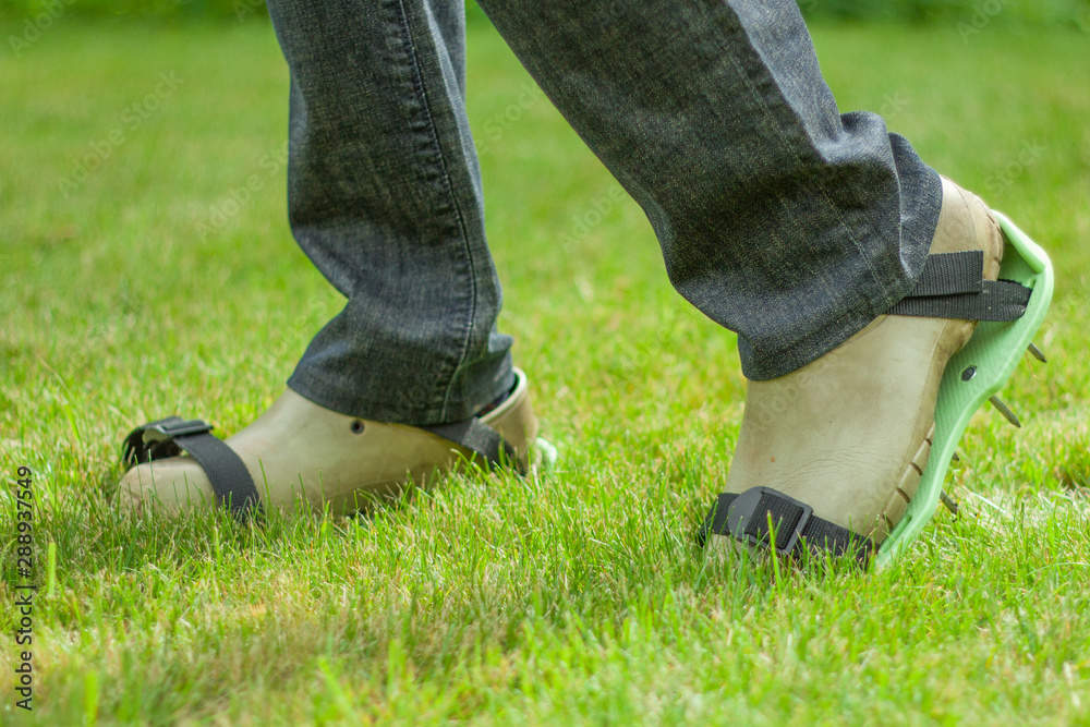 Woman wearing spiked lawn revitalizing aerating shoes, gardening concept.