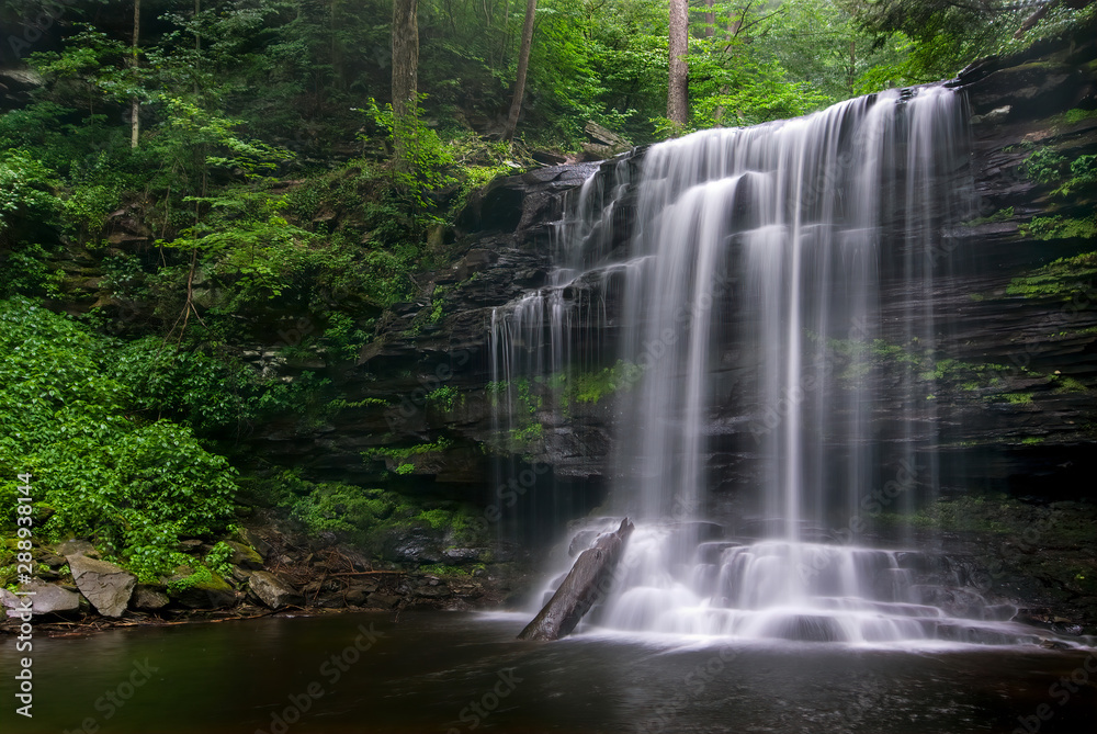 F.L. Ricketts Falls in Ricketts Glen State Park in Pennsylvania. F.L. Ricketts Falls in Ricketts Glen State Park in Pennsylvania.