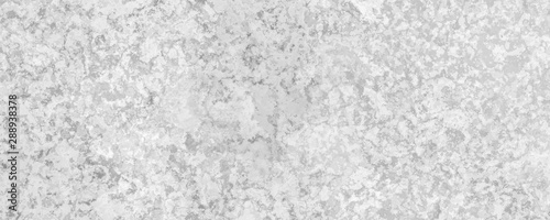 Tableau sur toile .Panoramic monochrome  background.