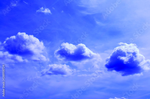 blue ciel 13
