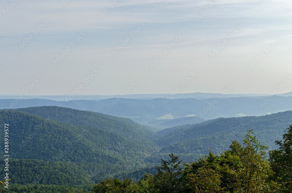 panorama panorama