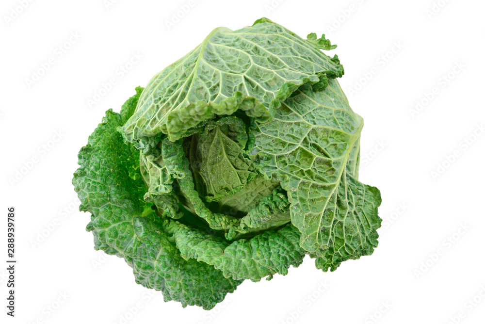 Green cabbage isolated on white background. Green cabbage isolated on white background.