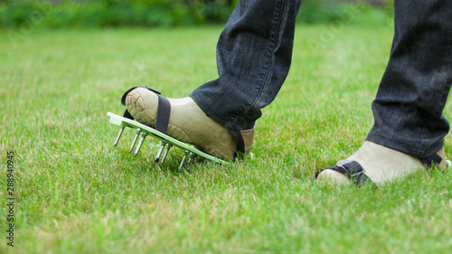 wearing spiked lawn revitalizing aerating shoes, gardening concept