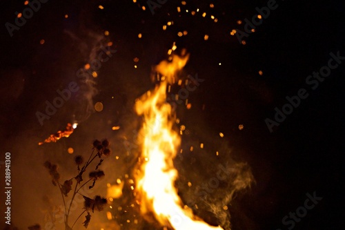 Feu incendie nature flammes - brulant brasier