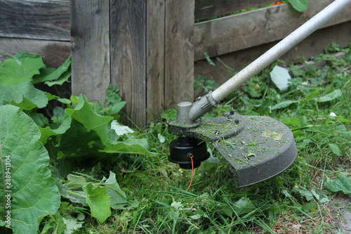 Close-up trimmer mows grass. Garden care photo