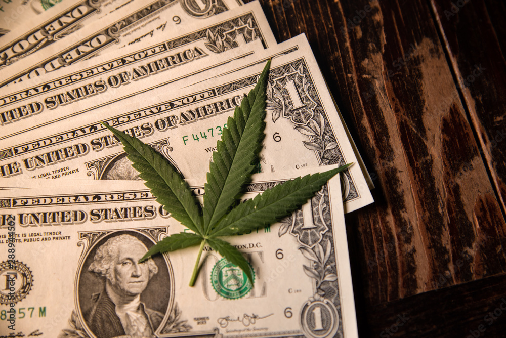 Money Marijuana Dollar bill and Medical Marijauna on Table - obrazy, fototapety, plakaty 