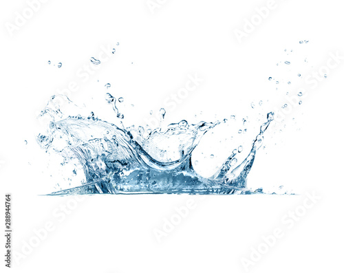 Canvas Print Water splash isolated on white background