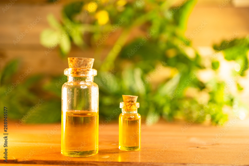 Cannabidiol oil bottles with leaves in the background on a wooden table Cannabidiol oil bottles with leaves in the background on a wooden table