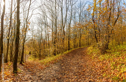 Duderhof heights, a natural monument, a group of hills of glacial origin.