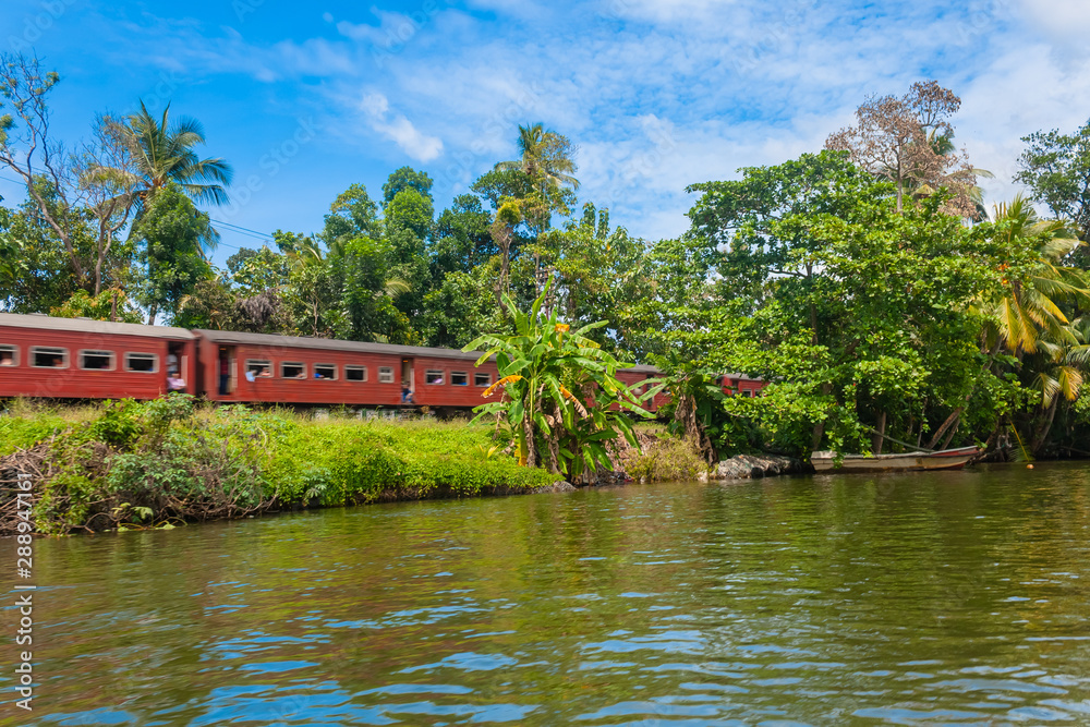train rides along the river. Balapitiya, Sri Lanka 
