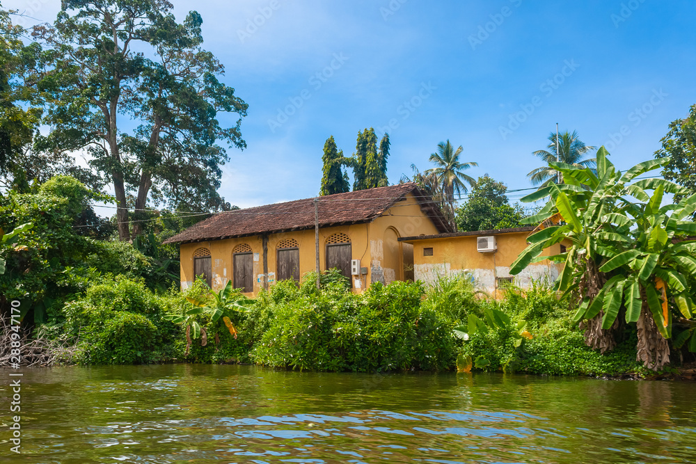 river house surrounded by tropical plants and palm trees 