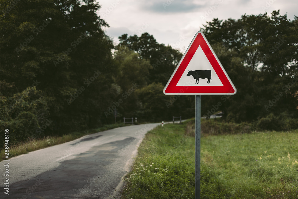 Image - Cow traffic european sign (red triangle) with curved road, green meadow and field on background on sunset. Beware of the cow. A warning sign with cattle on european road symbol. Image - Cow traffic european sign (red triangle) with curved road, green meadow and field on background on sunset. Beware of the cow. A warning sign with cattle on european road symbol.