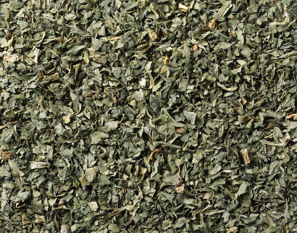 Dry celery leaves pile, background and texture