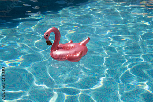 pinker Flamingoschwimmreif im Pool