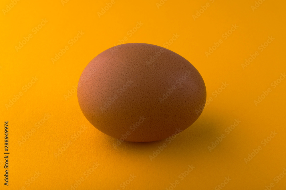 Brown chicken egg on an orange background