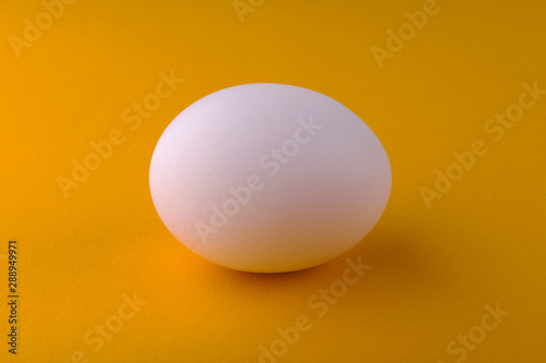 White chicken egg on an orange background