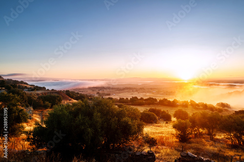 Beautiful landscape of Mansaraz, Portugal in the morning. Sunlight throuth the trees