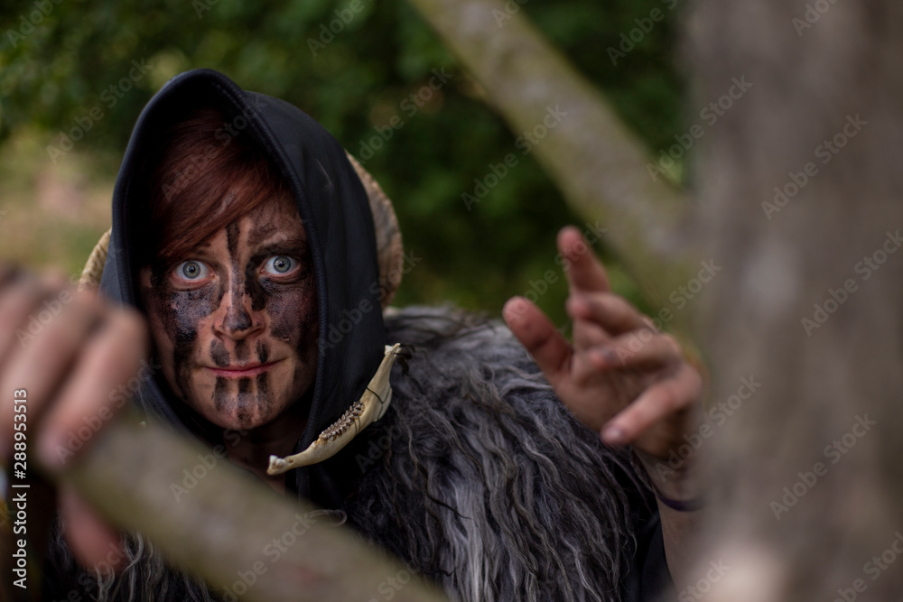 Druiden Frau Wikinger Druiden Frau Wikinger