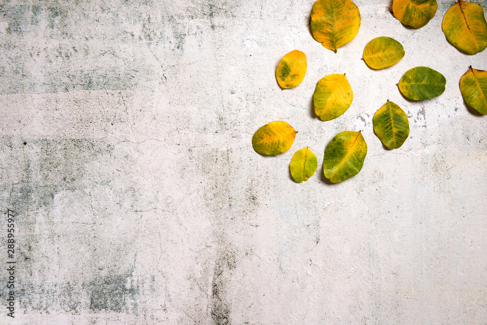 Pattern made of red and yellow fall leaves on dark concrete background, autumn concept. Flat lay, top view