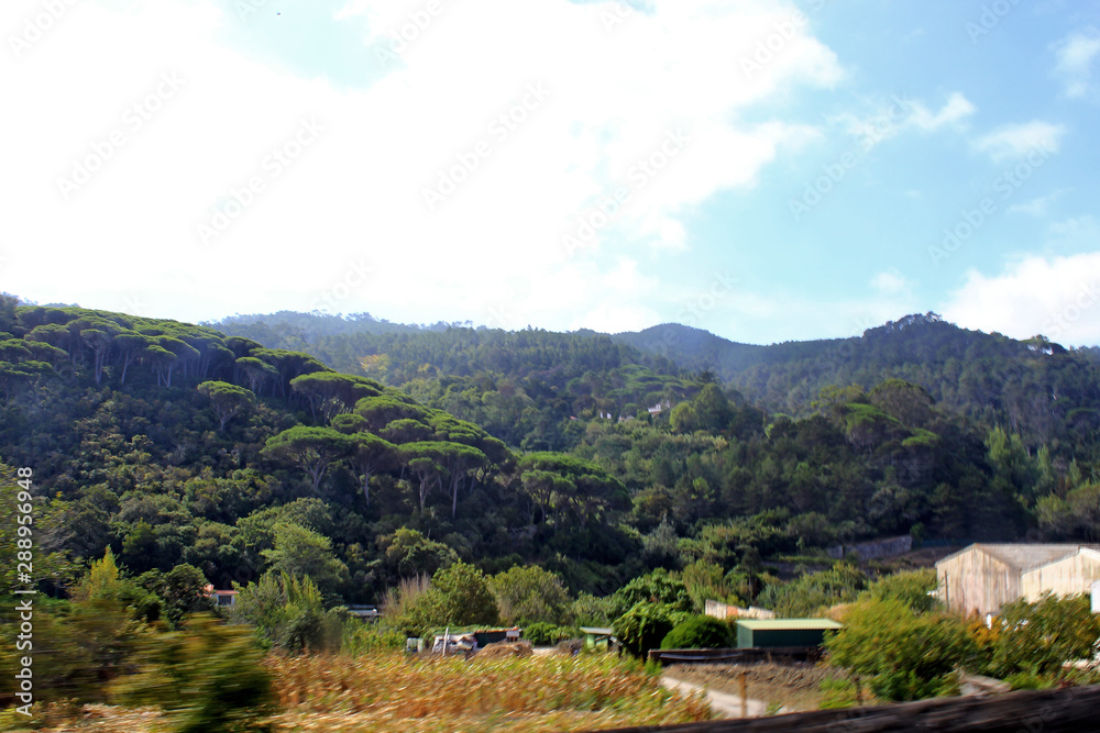 Fototapeta premium Sintra - Portugal