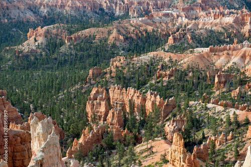 Bryce Canyon with rock formation mixed with trees