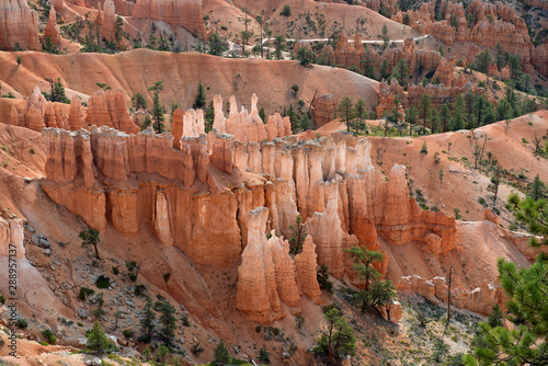 Red and white rocks in lines in Bryce Canyon