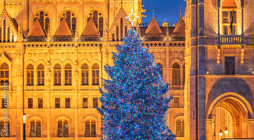 Photography Nice Christmas tree in front of the Hungarian Parliament