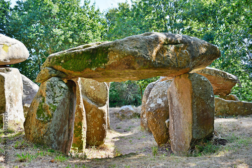 Prehistoric dolmen near megalithic menhirs alignment. Carnac, Brittany. France photo