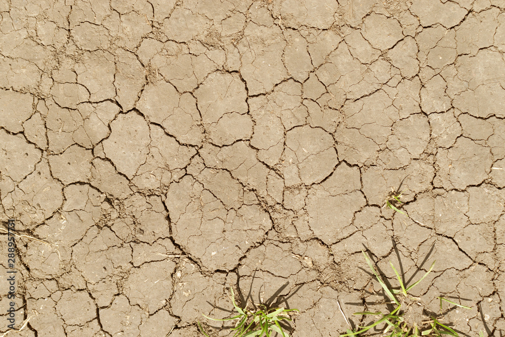Cracked Dry Earth Top View as Global Warming Concept Cracked Dry Earth Top View as Global Warming Concept
