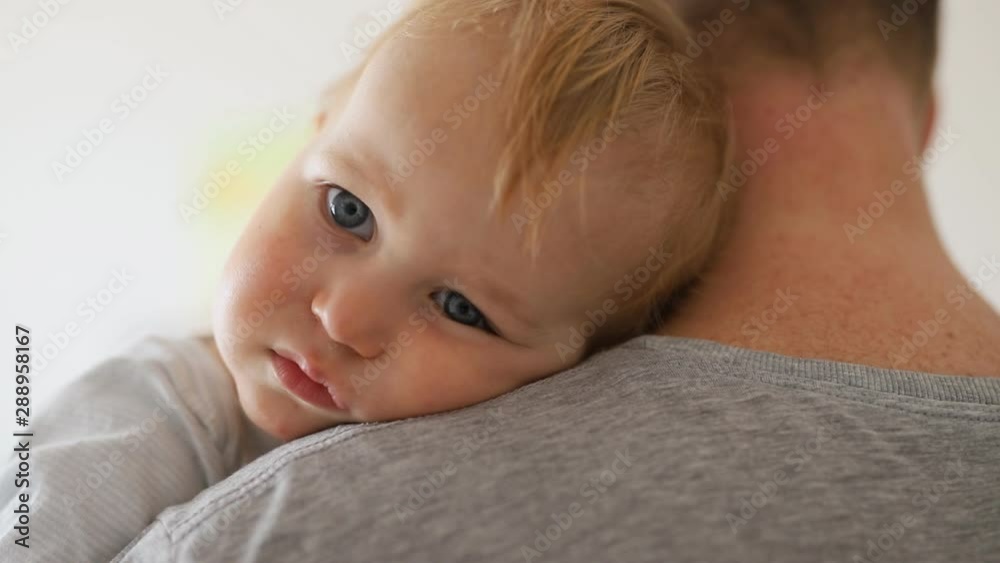 Close-up portrait of cute adorable blond caucasian toddler boy on fathers shoulder indoors. Sweet little child feeling safety on daddys hand. Responsibility and childcare. happy childhood Close-up portrait of cute adorable blond caucasian toddler boy on fathers shoulder indoors. Sweet little child feeling safety on daddys hand. Responsibility and childcare. happy childhood