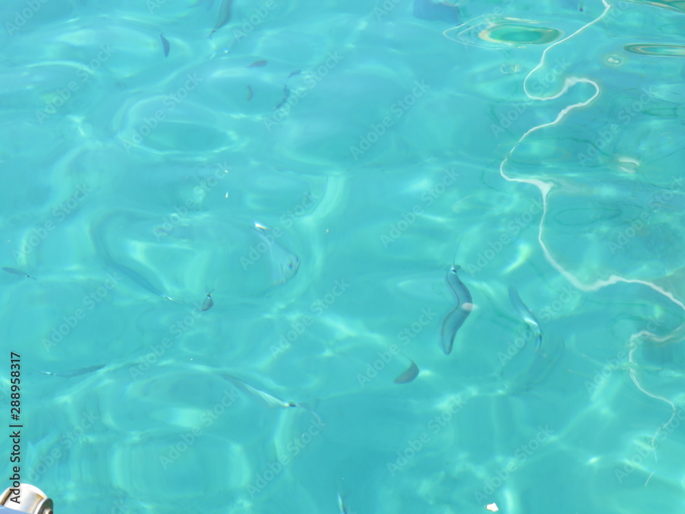 blue water in adriatic sea