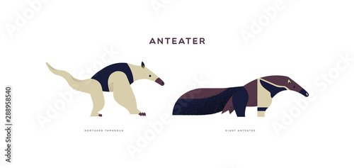 Wild anteater isolated animal cartoon set photo