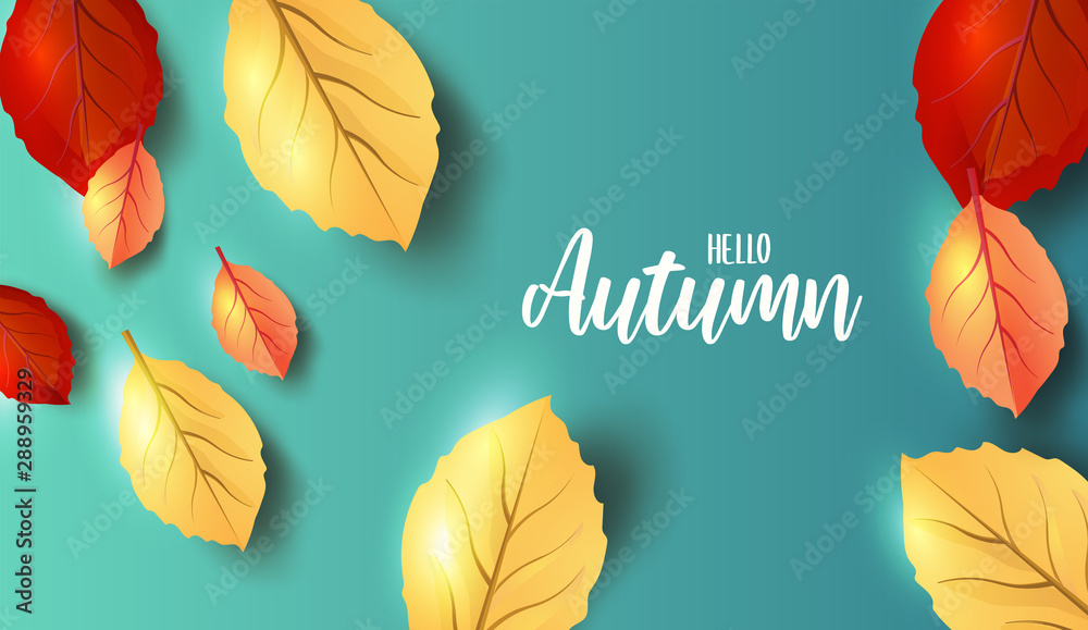 Abstract colorful leaves decorated  background for  Hello Autumn advertising header or banner design.  Vector Illustration.