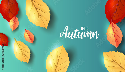 Abstract colorful leaves decorated background for Hello Autumn advertising header or banner design. Vector Illustration.