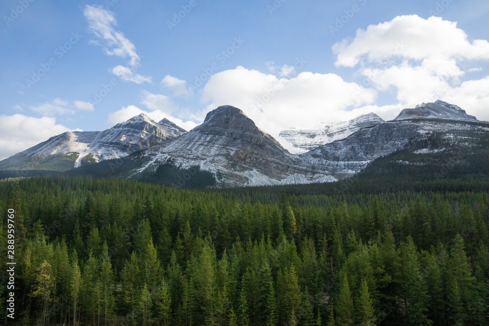 mountain view snow covered and green trees in banff national park canada