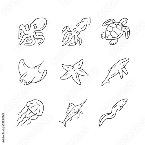 Sea animals linear icons set. Swimming octopus, starfish, squid, jellyfish. Marine aquarium. Underwater inhabitants. Thin line contour symbols. Isolated vector outline illustrations. Editable stroke