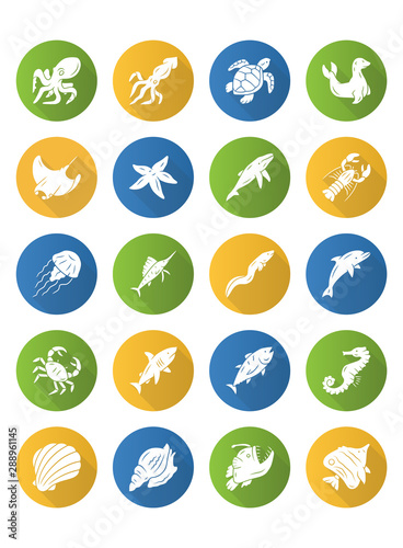 Sea animals flat design long shadow glyph icons set. Turtle, jellyfish, lobster. Swimming mollusk and fish. Underwater wildlife. Ocean inhabitants. Aquatic creatures. Vector silhouette illustration