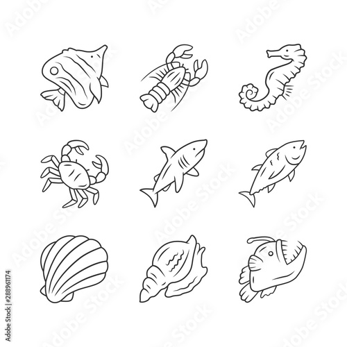 Marine animals linear icons set. Swimming shark, anglerfish, butterflyfish. Underwater creature. Aquatic organism. Thin line contour symbols. Isolated vector outline illustrations. Editable stroke
