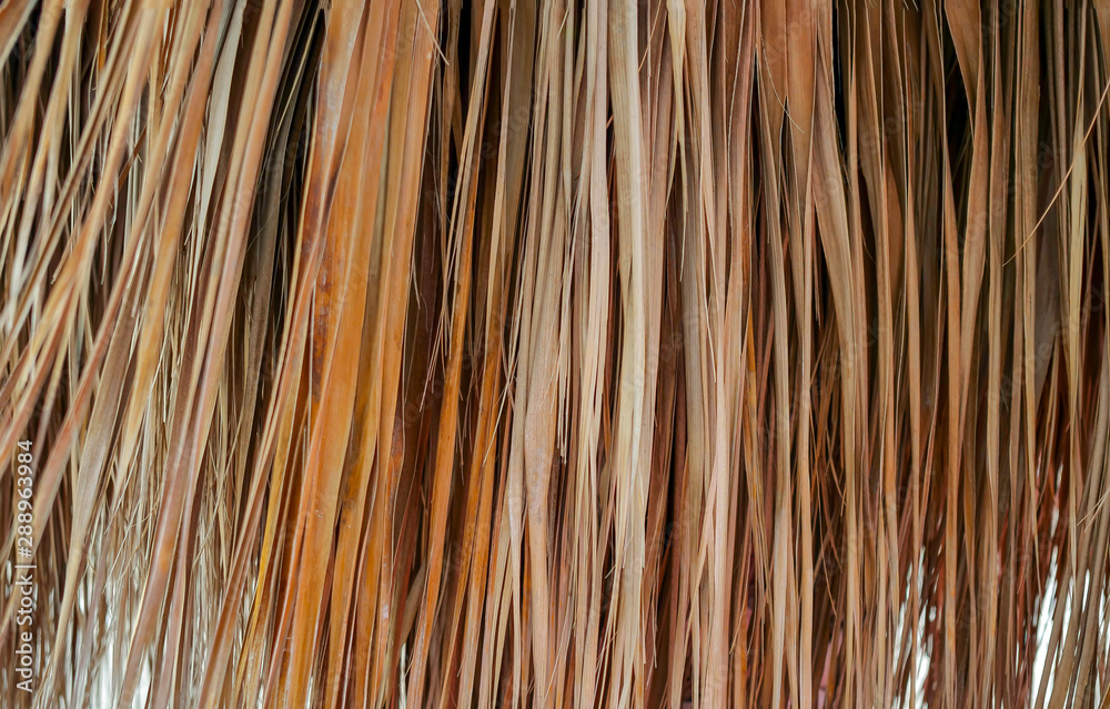 Dry palm leaves, background texture, natural background Dry palm leaves, background texture, natural background