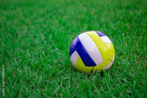 volleyball on the green grass. Beach Volleyball on green grass.