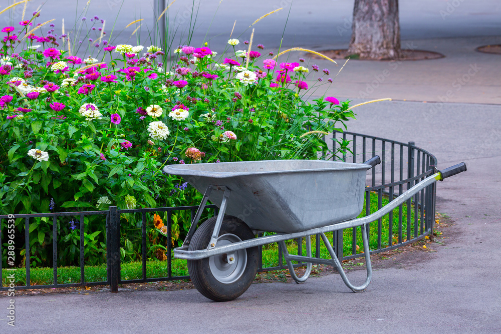 Garden wheelbarrow galvanized metal stand in a city park near a flower bed.